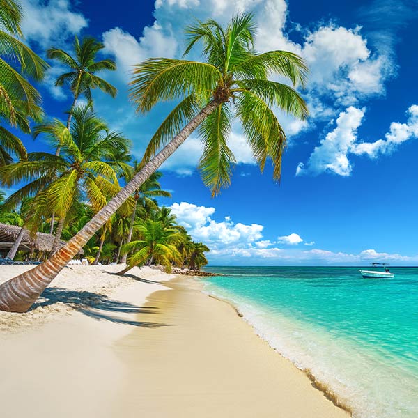 Travel Leaders Image