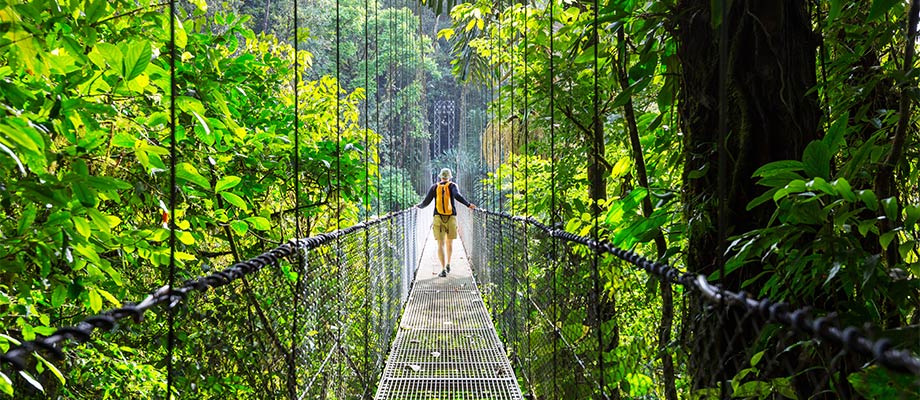 Travel Leaders Image
