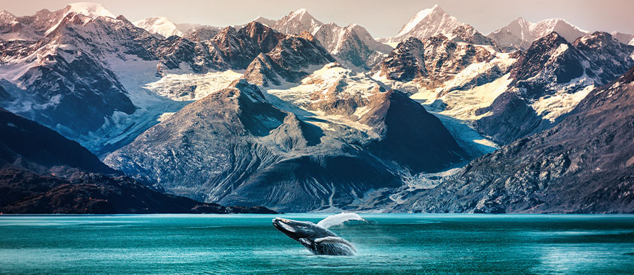 Expedition Travel Image