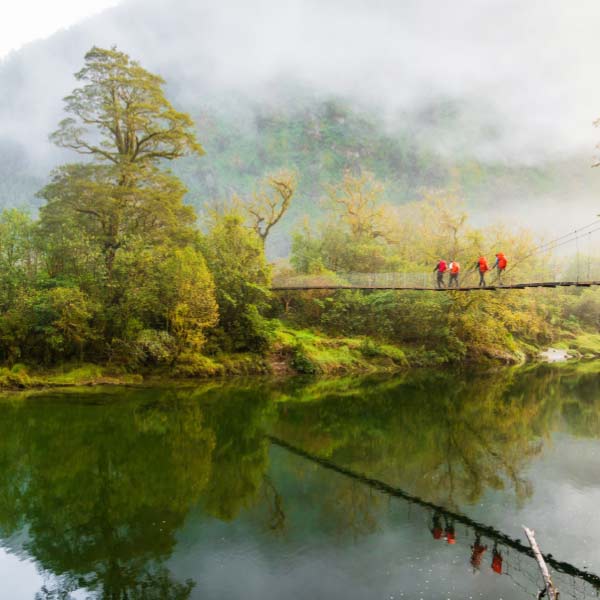 Travel Leaders Image