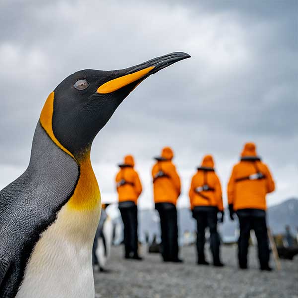 Travel Leaders Image