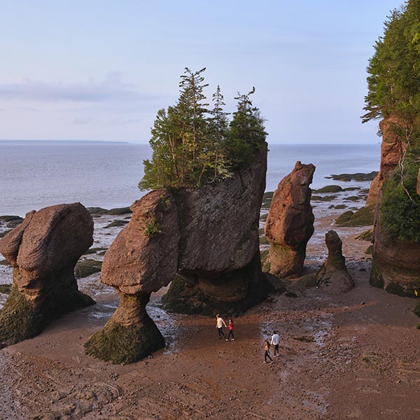 Travel Leaders Image