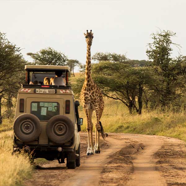 Travel Leaders Image