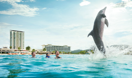 Discover Jamaica’s Natural Beauty and Cultural Gems 