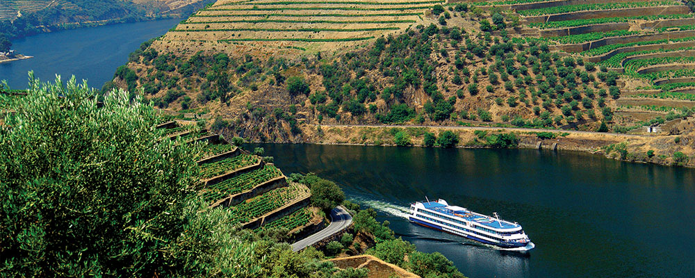 Vineyards in the Douro Valley / Credit: AT Porto and the North