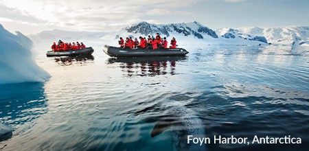 Foyn Harbor, Antarctica