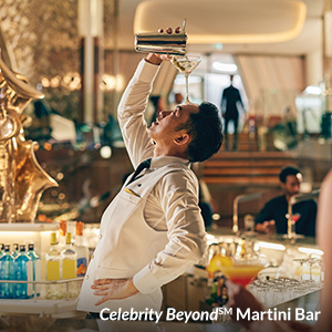 Celebrity Beyond Martini Bar