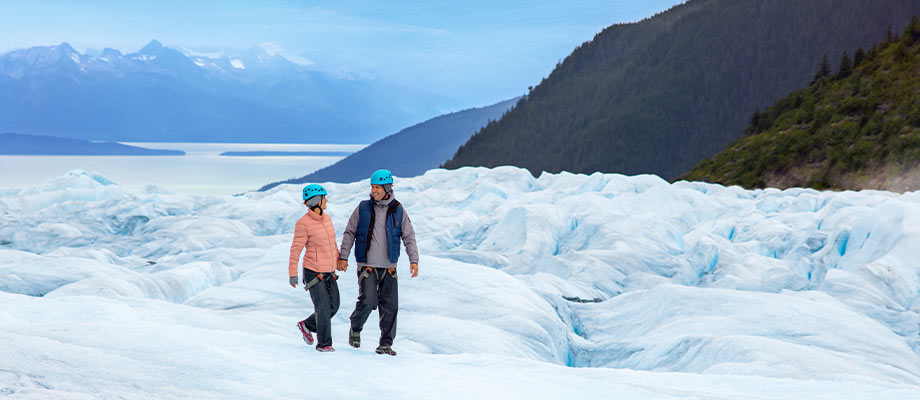 Travel Leaders Image