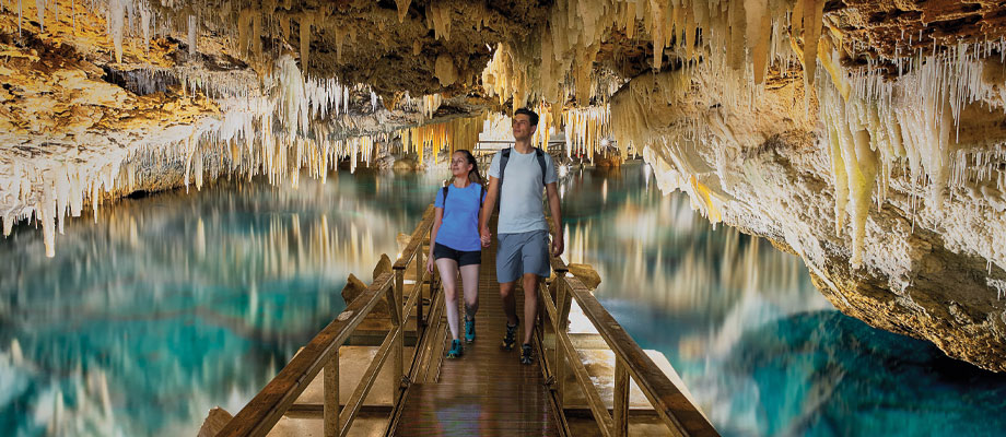 Travel Leaders Image