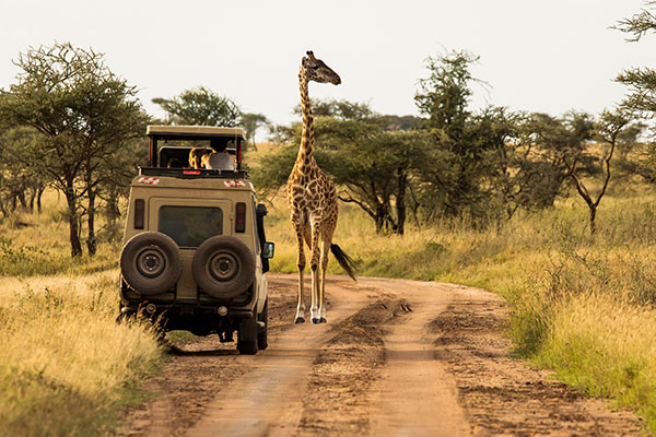 Travel Leaders Image
