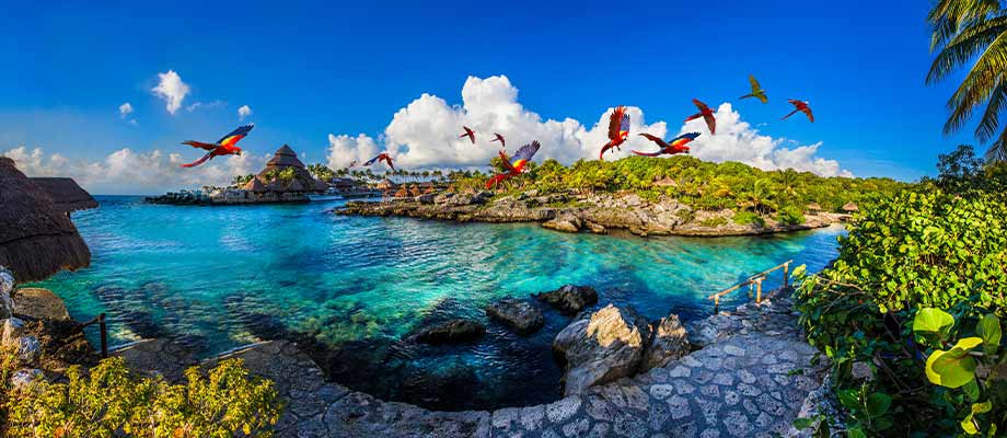 Travel Leaders Image