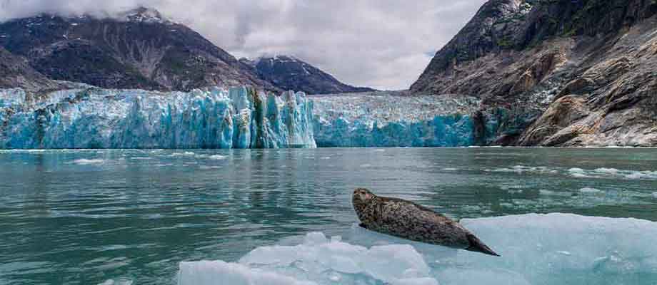 Travel Leaders Image