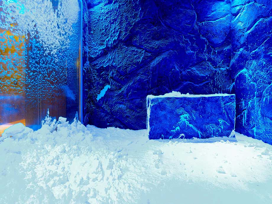 Travel Leaders Image