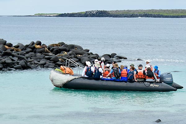 Travel Leaders Image