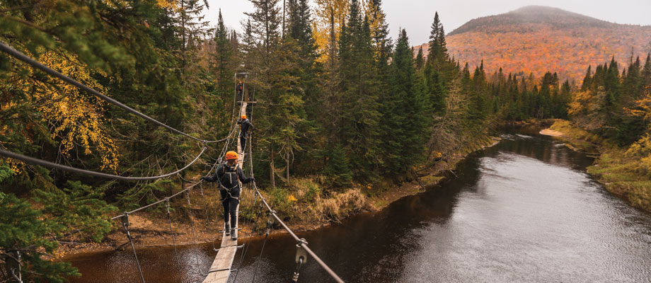 Travel Leaders Image