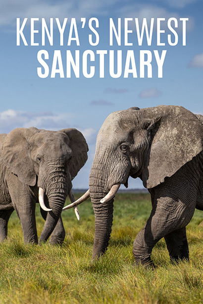 Kenya's Newest Sanctuary 