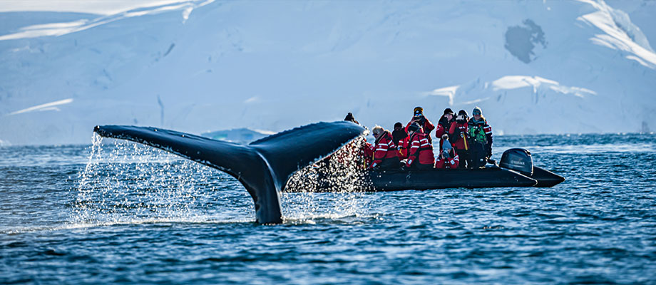 Expedition Travel Image