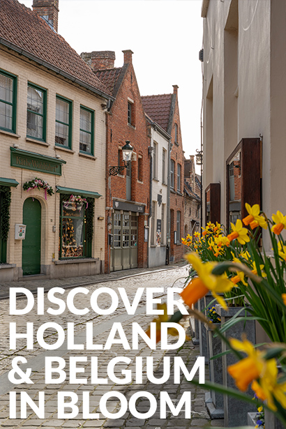 Tulips, Windmills and Easy River Cruising with AmaWaterways