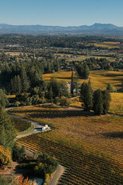 Wine Country Retreats: Vineyards, Villas & the Art of Slowing Down