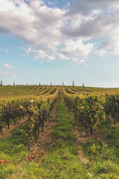 Destination Spotlight: Where World-Class Wines Meet Châteaux, Markets and French Refinement