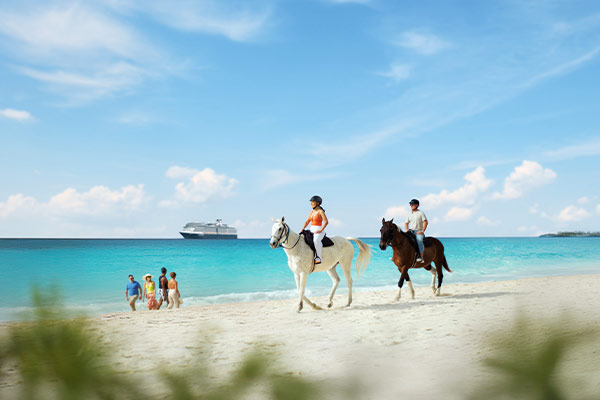 Travel Leaders Image