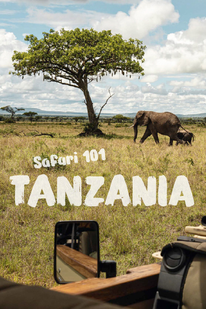 Your Tanzanian Safari Adventure Awaits