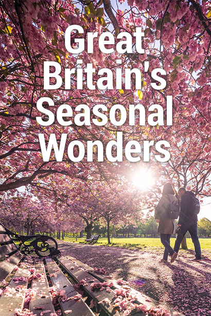 Seasonal Wonders in Great Britain