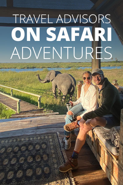 A TALE OF TWO SAFARIS