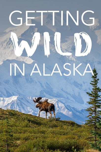 Getting Wild in Alaska