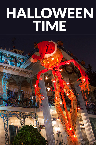 Experience the Magic of Halloween Time
