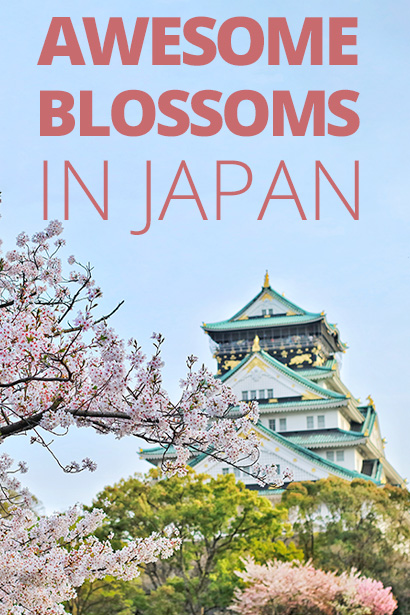 How & Where to Make the Most of Sakura Season 
