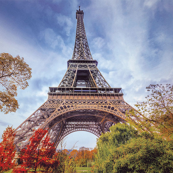 Travel Leaders Image