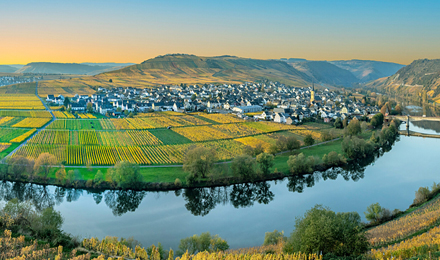 Moselle River Bend