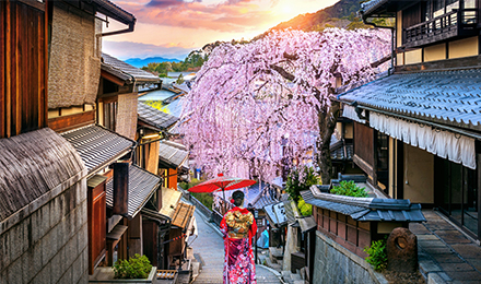 Travel Better in Japan: Where Luxury Comes to Life