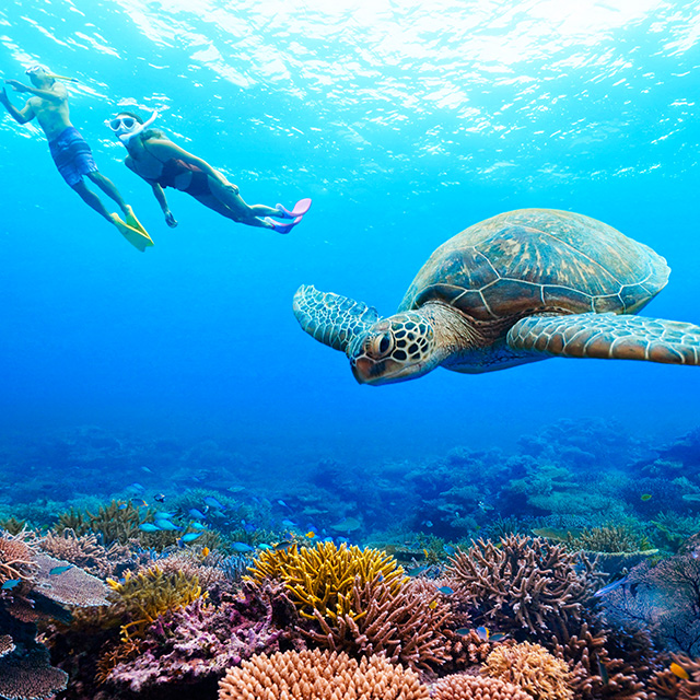 Snorkling