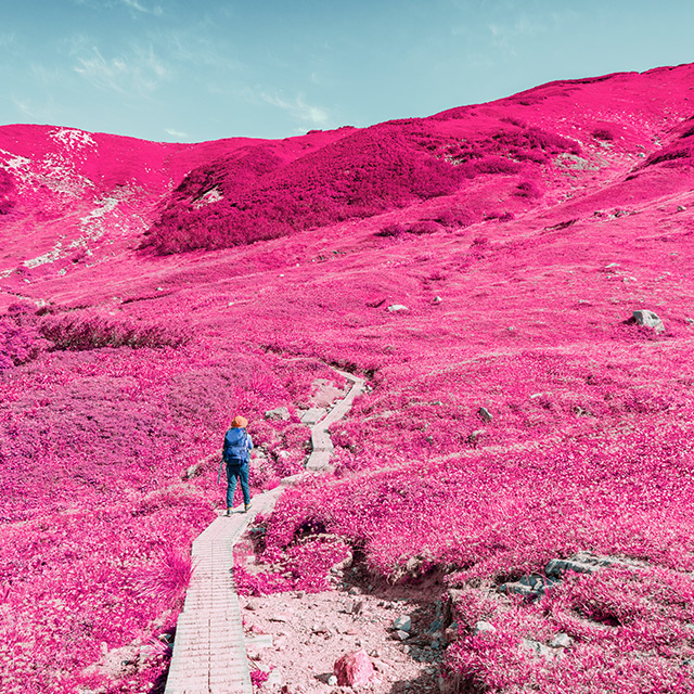 Hiking