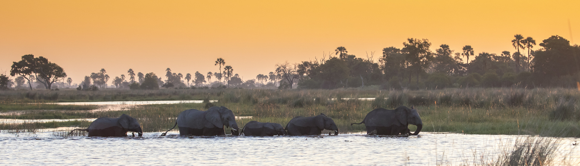 Behold African wildlife on a small-group journey