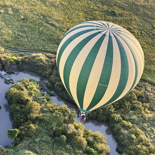 Travel Leaders Image