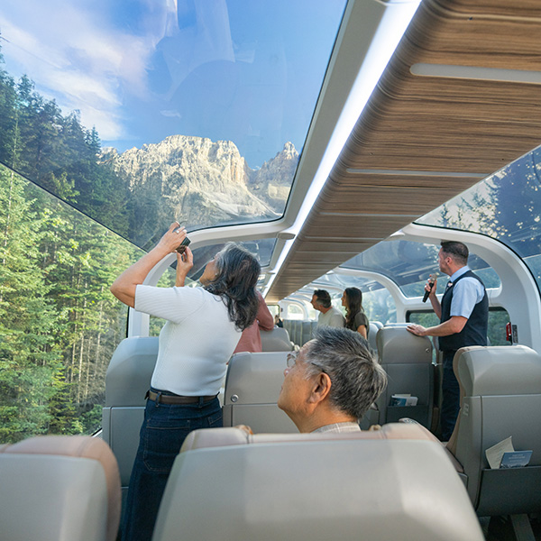 Travel Leaders Image