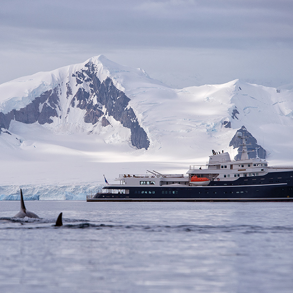 Travel Leaders Image