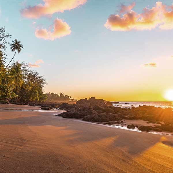 Travel Leaders Image