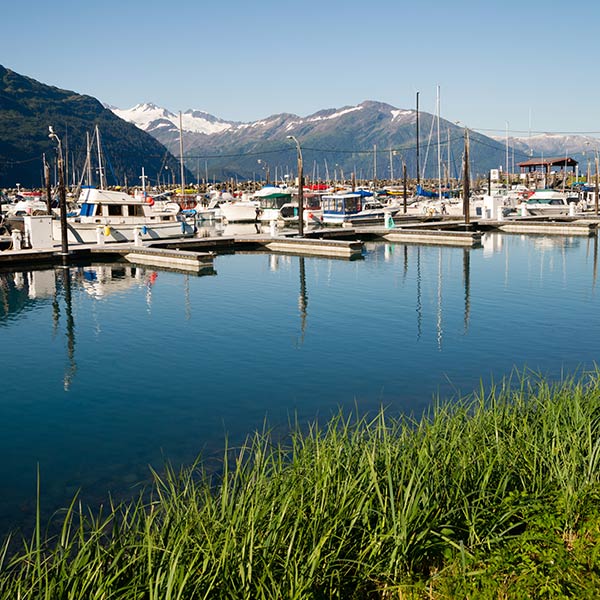 Travel Leaders Image