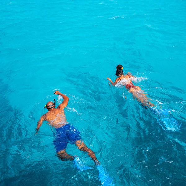 Travel Leaders Image