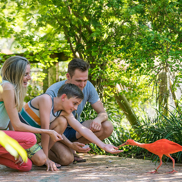 Travel Leaders Image