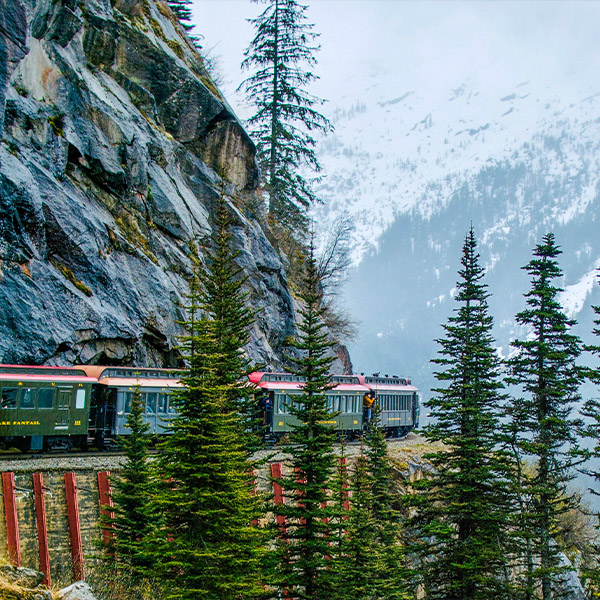 Travel Leaders Image