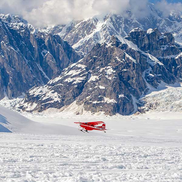 Travel Leaders Image