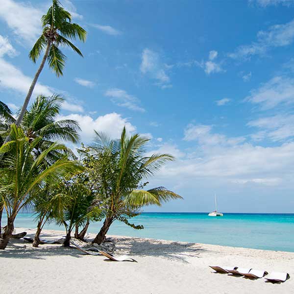 Travel Leaders Image