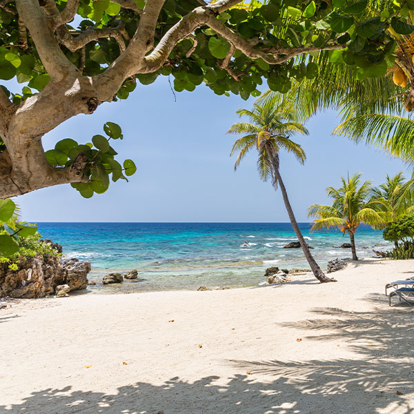 Travel Leaders Image