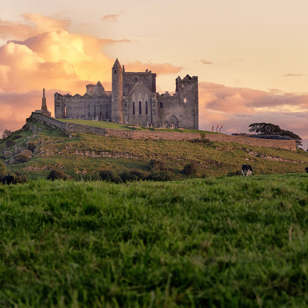 Travel Leaders Image