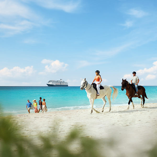 Travel Leaders Image